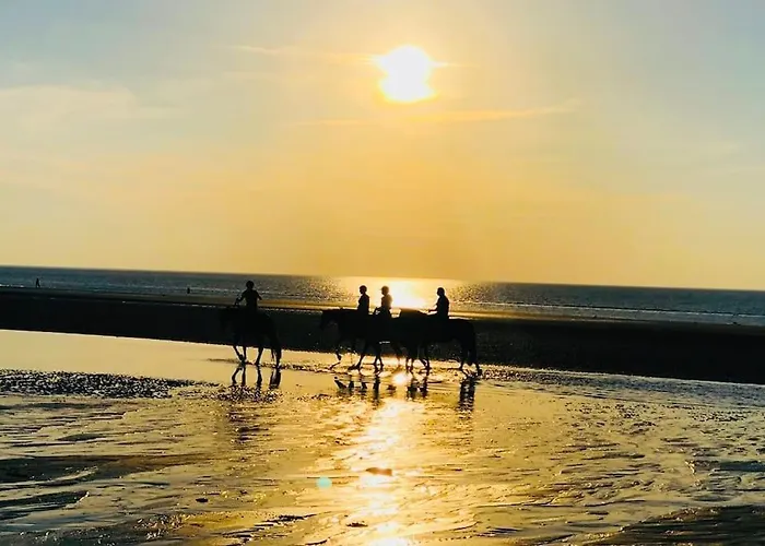 Le Camaieu Apartament *