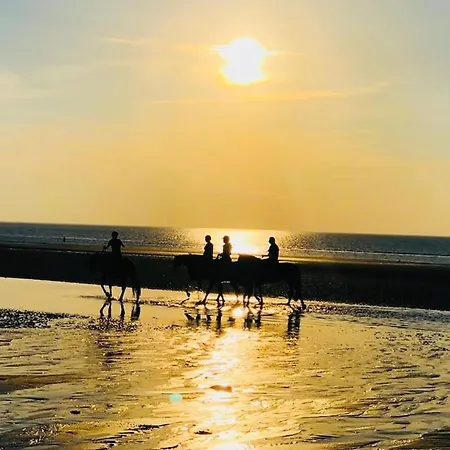 Le Camaieu Appartement *